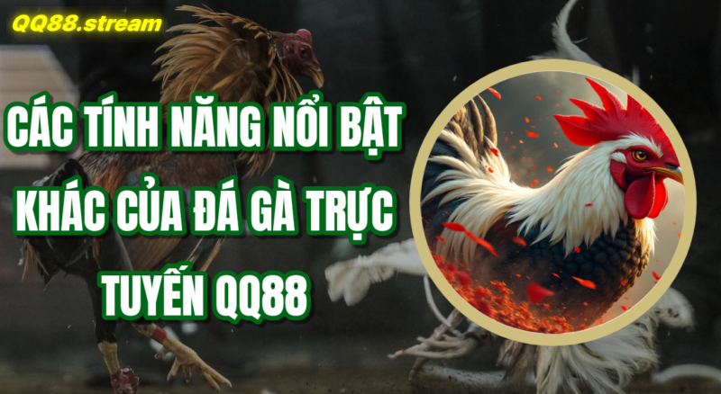 Các tính năng nổi bật khác của đá gà trực tuyến QQ88